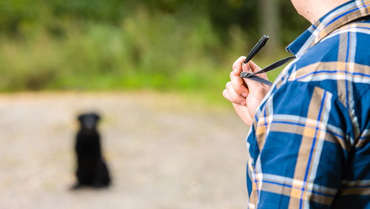 Il fischietto per cani: cos’è e come funziona