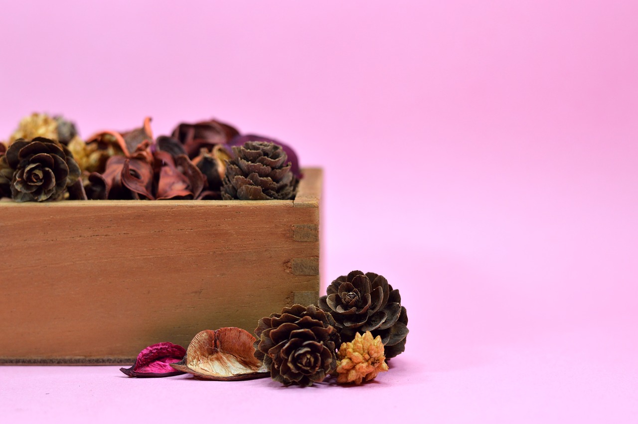 Fiori disidratati: come utilizzarli