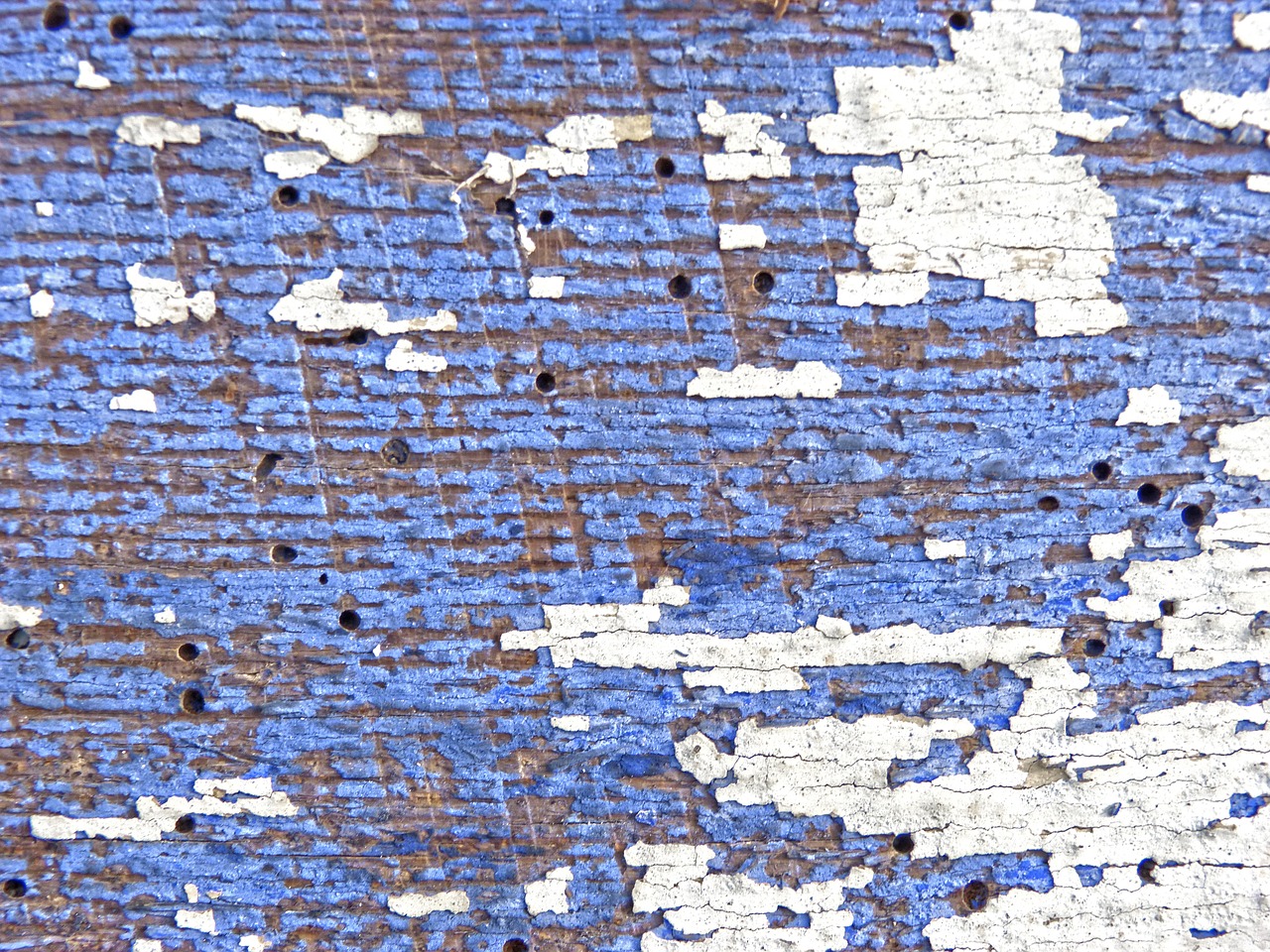 Come come eliminare i tarli dalle travi del legno e combattere questi roditori