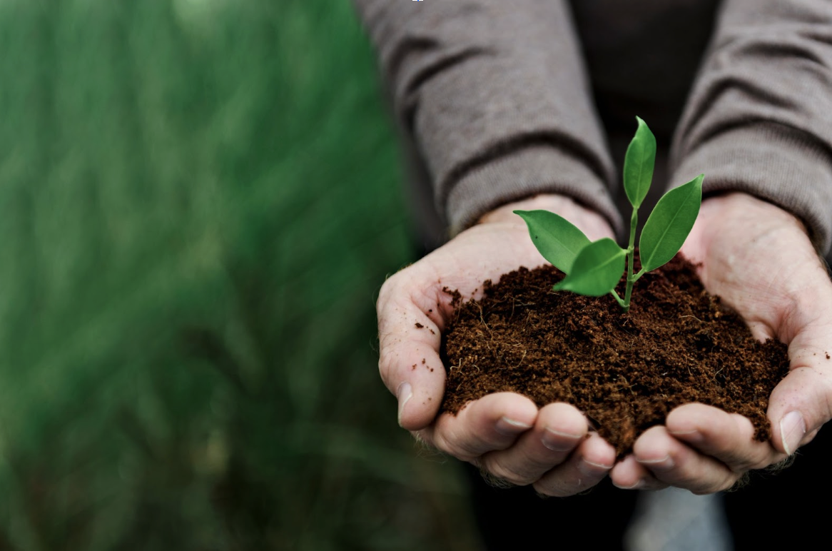 L’importanza della sostenibilità aziendale: come attuare strategie di business funzionali